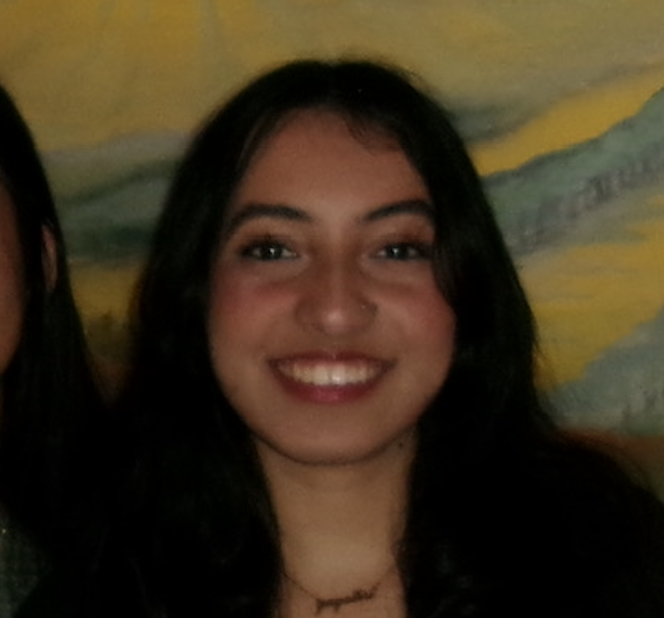 Gayathri Aravindan